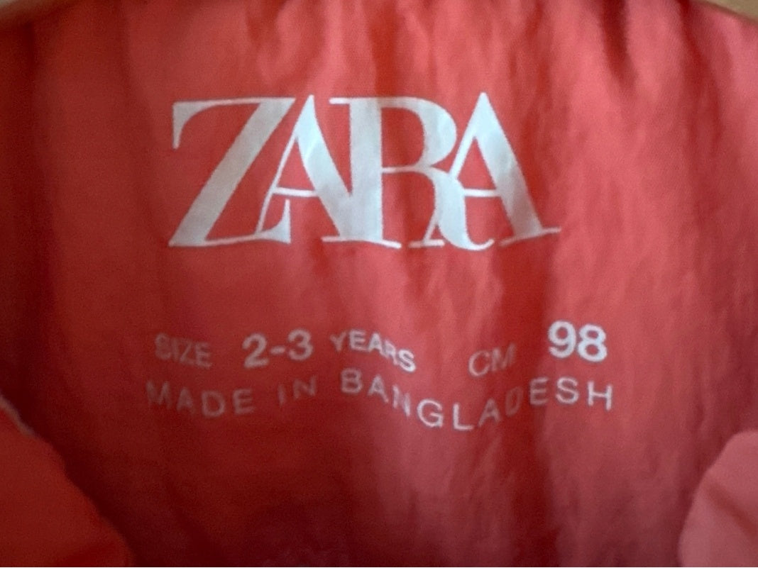 ZARA Kids Light Pink Hooded Casual